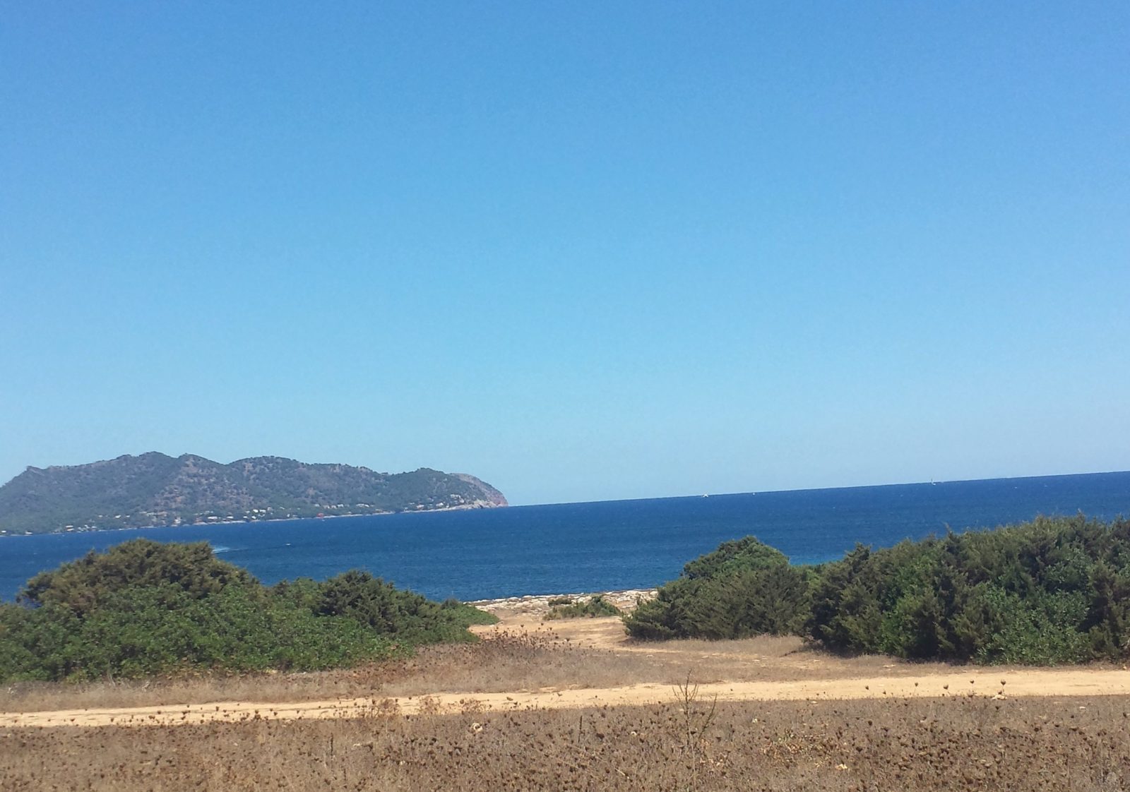 Mallorca 2014 Thumb